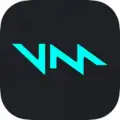 Voicemod