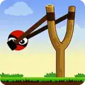 Knock Down