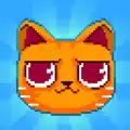 Crashy Cats