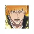 Bleach: Soul Resonance
