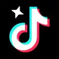 TikTok Pro