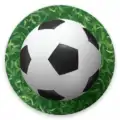 FA Soccer CUP Legacy World