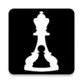 Bueno New Chess