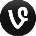 Vine