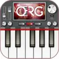 ORG 24