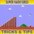Super Mario Bros NES Tricks