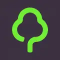 Gumtree