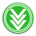 Video Downloader Quick