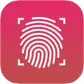 Goodix Fingerprint