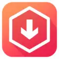 Y2Mate Video Downloader