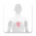Withings Health Mate