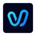 Vidu