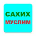 САХИХ МУСЛИМ