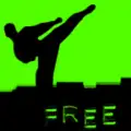 Kung Fu