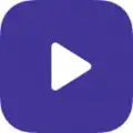 Video (System)