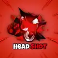 HEADSHOT FF