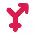 Yareel 2.0