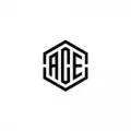 ACE Custom Lite VPN