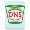 Flush DNS
