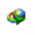 IDM (internet download menager)