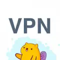 VPN service