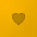 Locket Widget