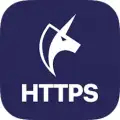 Unicorn HTTPS: Fast Bypass DPI