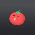VPN Tomato