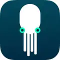 Squid
