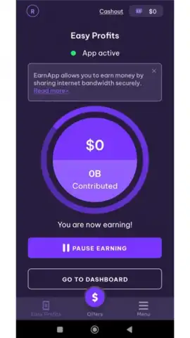 Earnapp скриншот 5