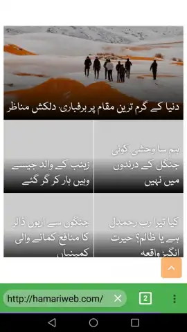 Pak Browser скриншот 1