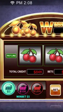 Dinger Poker скриншот 3