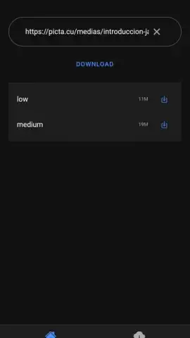 Picta Downloader скриншот 2