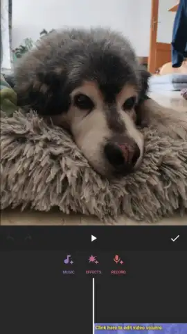 InShot скриншот 13