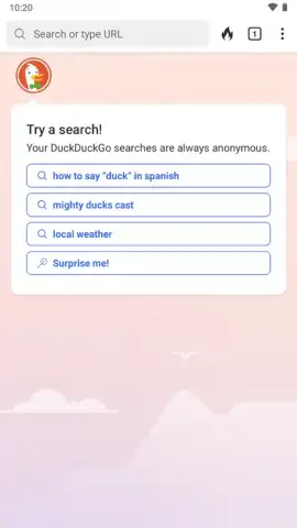 DuckDuckGo Private Browser скриншот 15