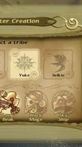 Final Fantasy Crystal Chronicles скриншот 1