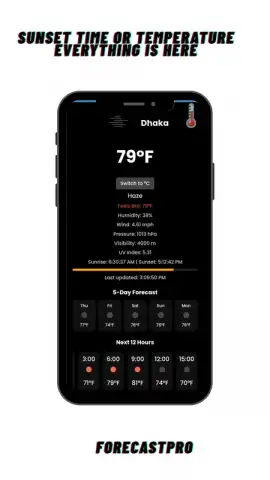 ForecastPro скриншот 2