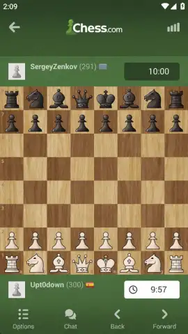 Chess - Play and Learn скриншот 12