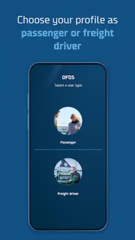 DFDS скриншот 8