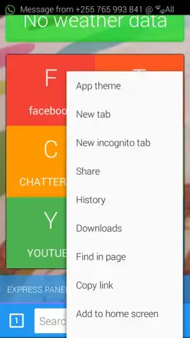 cheetah browser скриншот 2