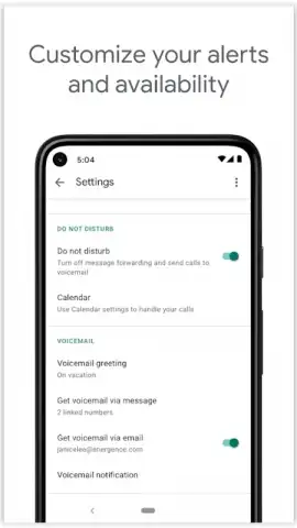 Google Voice скриншот 1