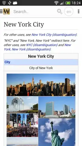 -Wiki-энциклопедия скриншот 2