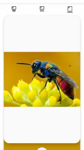 Color Palette скриншот 5