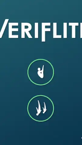 Veriflite скриншот 3