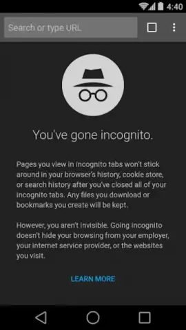 Chrome Beta скриншот 17