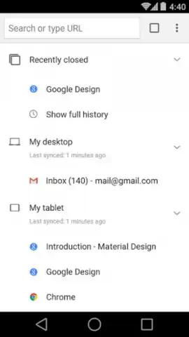Chrome Beta скриншот 15
