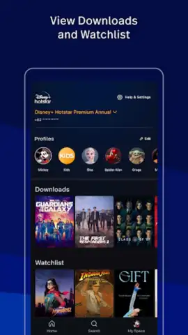 Disney+ Hotstar (Android TV) скриншот 8