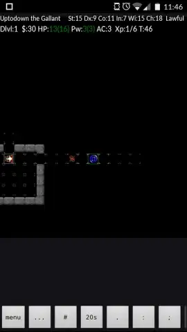 NetHack скриншот 9