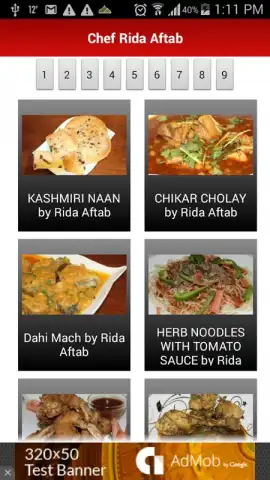 Chef Rida Pakistani Recipes скриншот 4