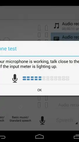 Audio Recorder скриншот 1